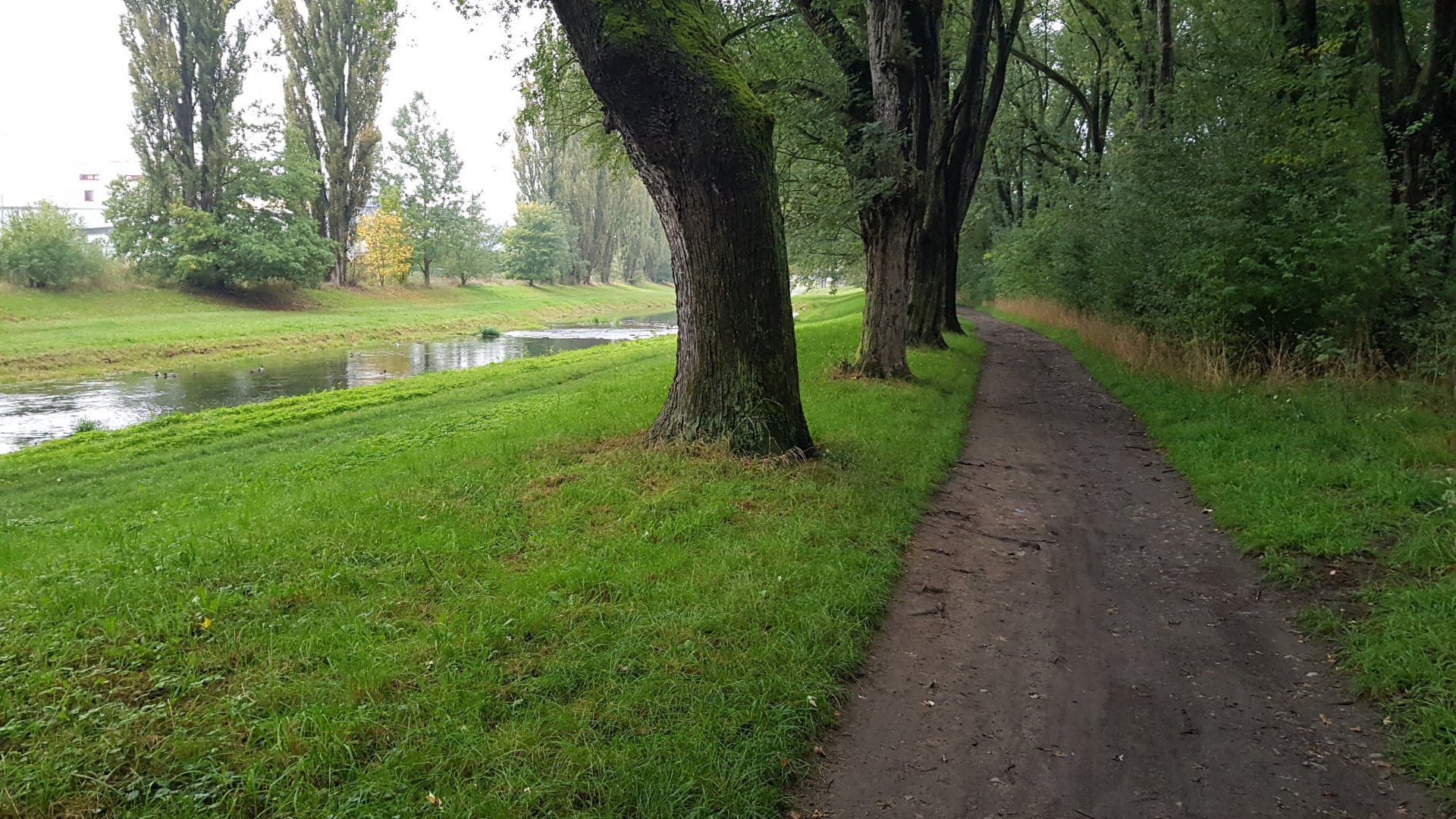 Příroda
