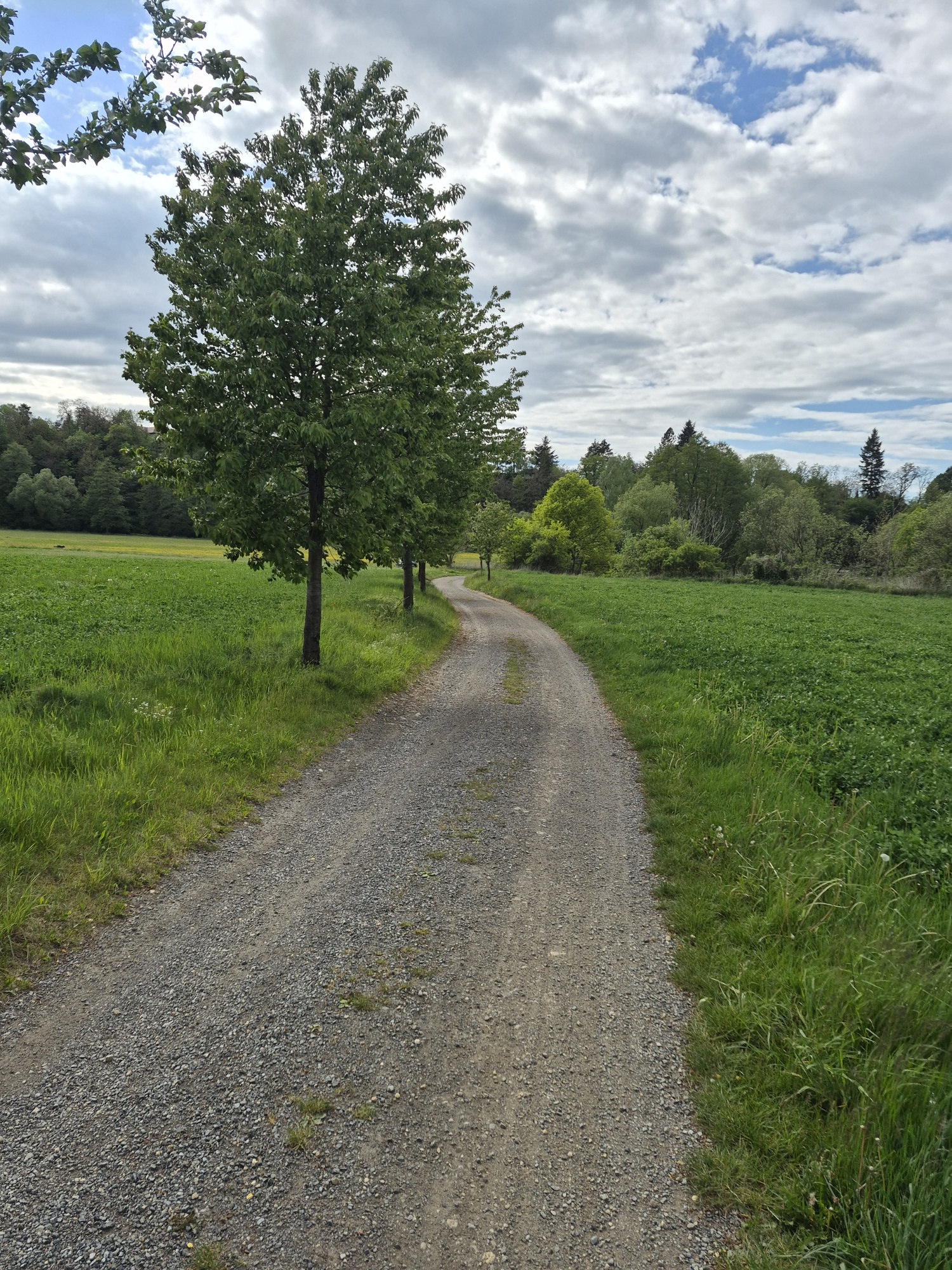 Klatovy – Přimda