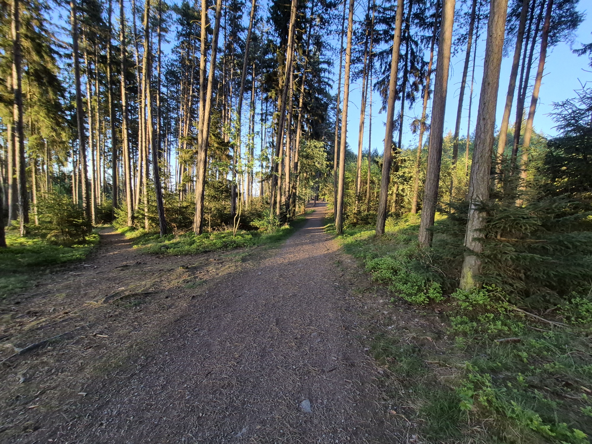 Letohrad – Olomouc