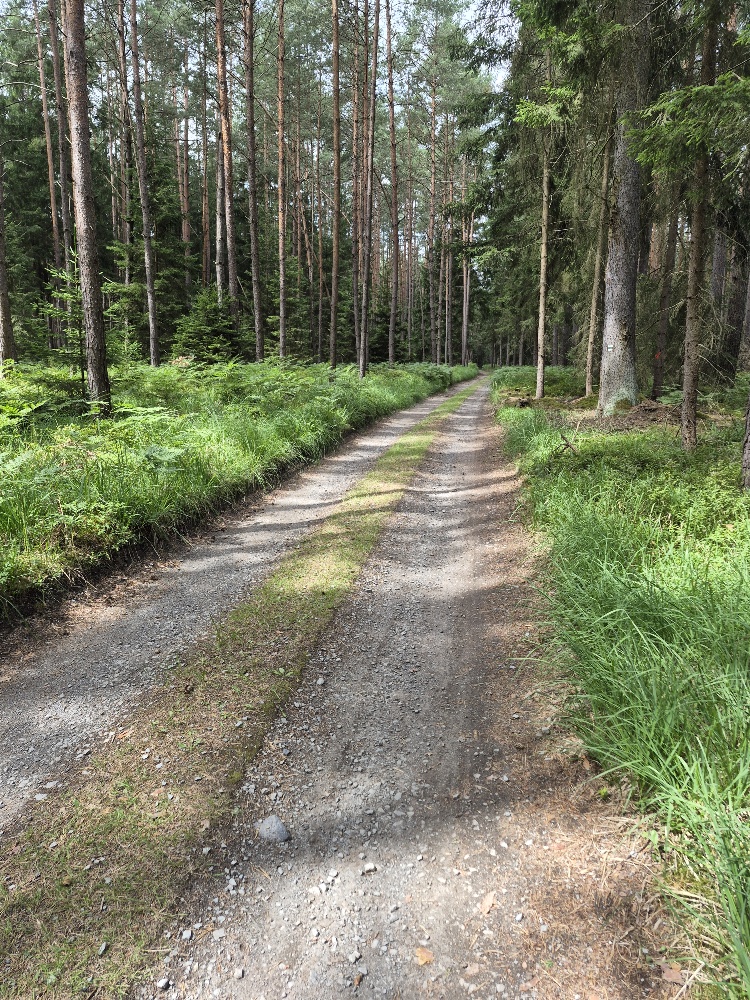 Horní Maršov - Rokytnice nad Jizerou
